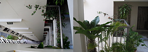 Wildlife garden in a high-rise apartment