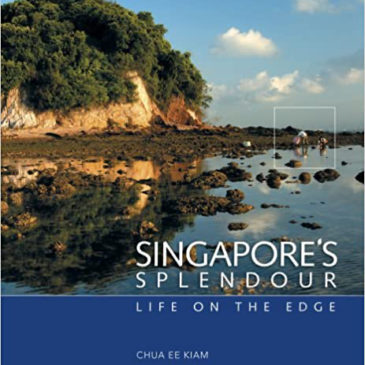 Singapore-Nature: 12. Special Interest Groups.