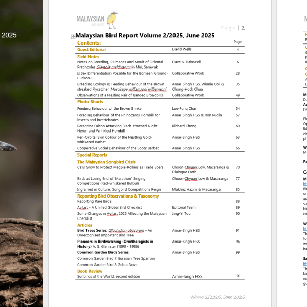2025 June MBR-Advert Image-Covers & Contents