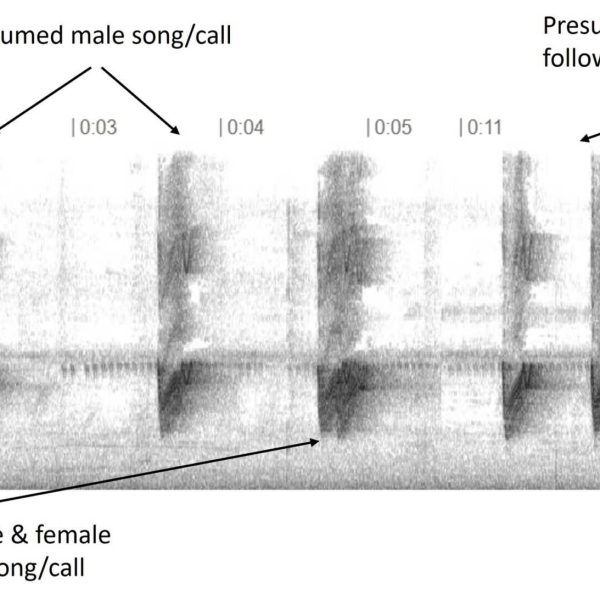 98ecd427a0b0a40233401e2eb179a76ecdad6c7fa6058b2c7db38eeed45d