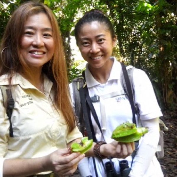 Teresa Teo Guttensohn (Cicada Tree Eco-Place) and Chloe Tan (NUS Toddycats) with freshly chomped starfruits (Averrhoa carambola), that plopped right in front of them during a free public Love MacRitchie Walk on Sunday, 9 Apr 2017.