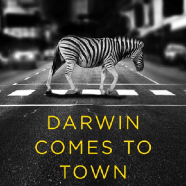 darwin comes to town 5-2