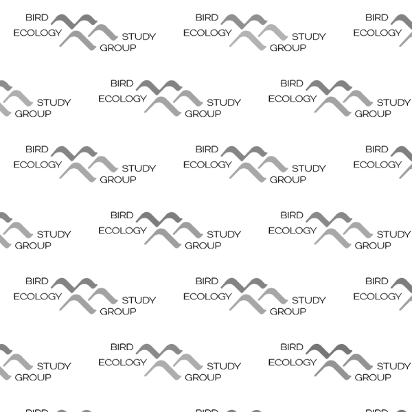default-post-image-grey