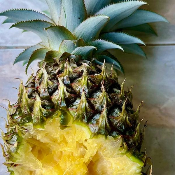 eatened pineapple 1
