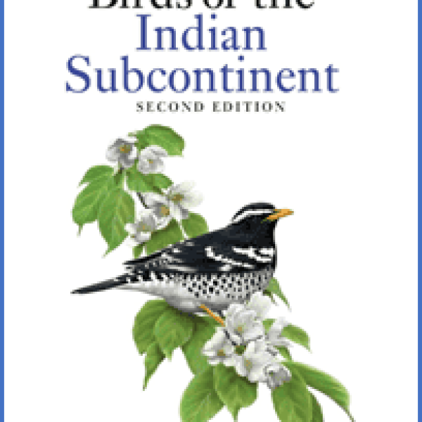 Home - Bird Ecology Study Group