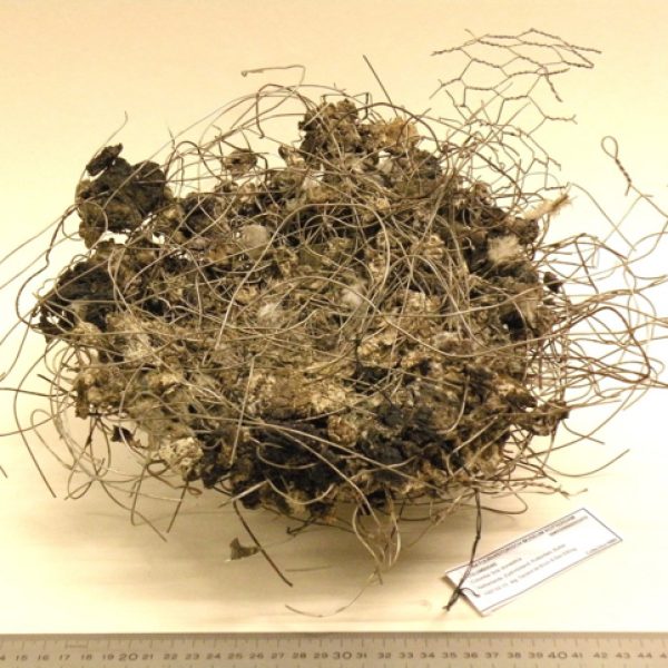 Metal wire pigeon's nest - courtesy of Natural History Museum Rotterdam